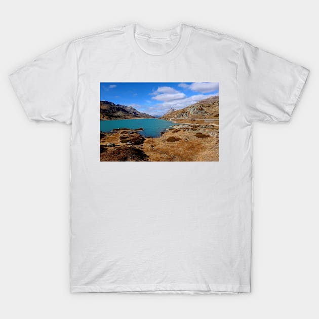 Lago Bianco T-Shirt by annalisa56